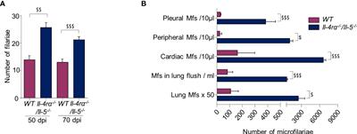 Unbalanced Arginine pathway and altered maturation of pleural macrophages in Th2-deficient mice during Litomosoides sigmodontis filarial infection